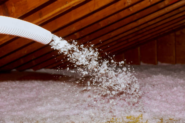 Best Insulation Maintenance and Repair in Soddy Daisy, TN