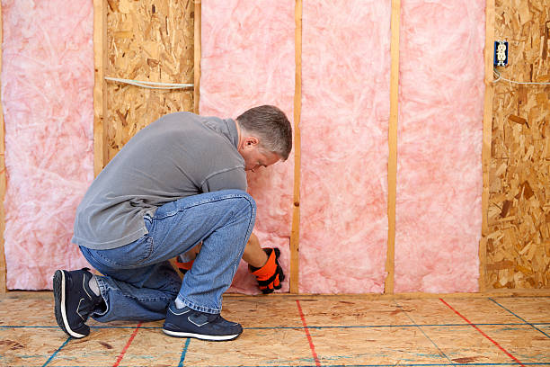 Best Insulation Installation Services in Soddy Daisy, TN
